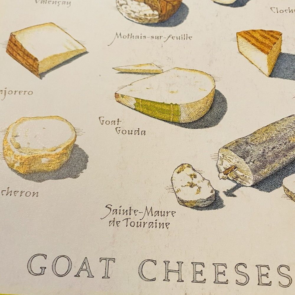 Cooks Illustrated Frameable Kitchen Art Back Cover Only J Burgoyne Goat Cheeses - Picture 2 of 3